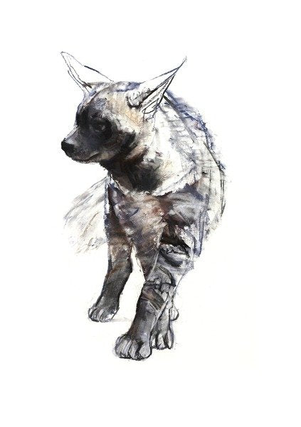 Detail of Striped Hyaena Pup, 2010 by Mark Adlington