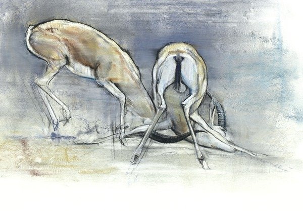 Detail of Sand Gazelles, 2009 by Mark Adlington