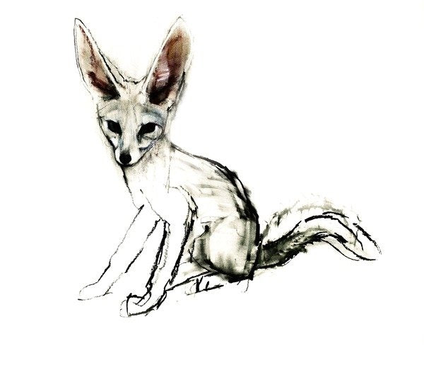Detail of Foxy, 2009 by Mark Adlington