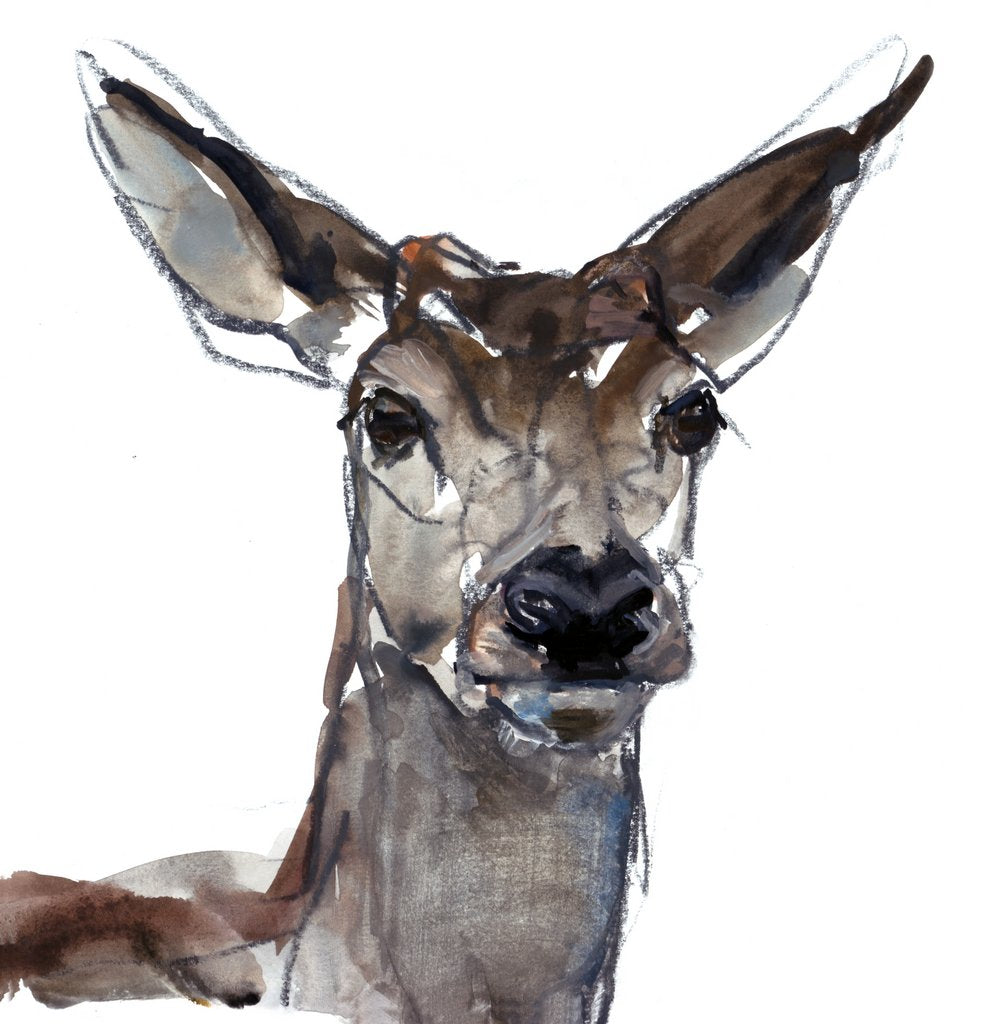 Detail of Deer, 2023 by Mark Adlington