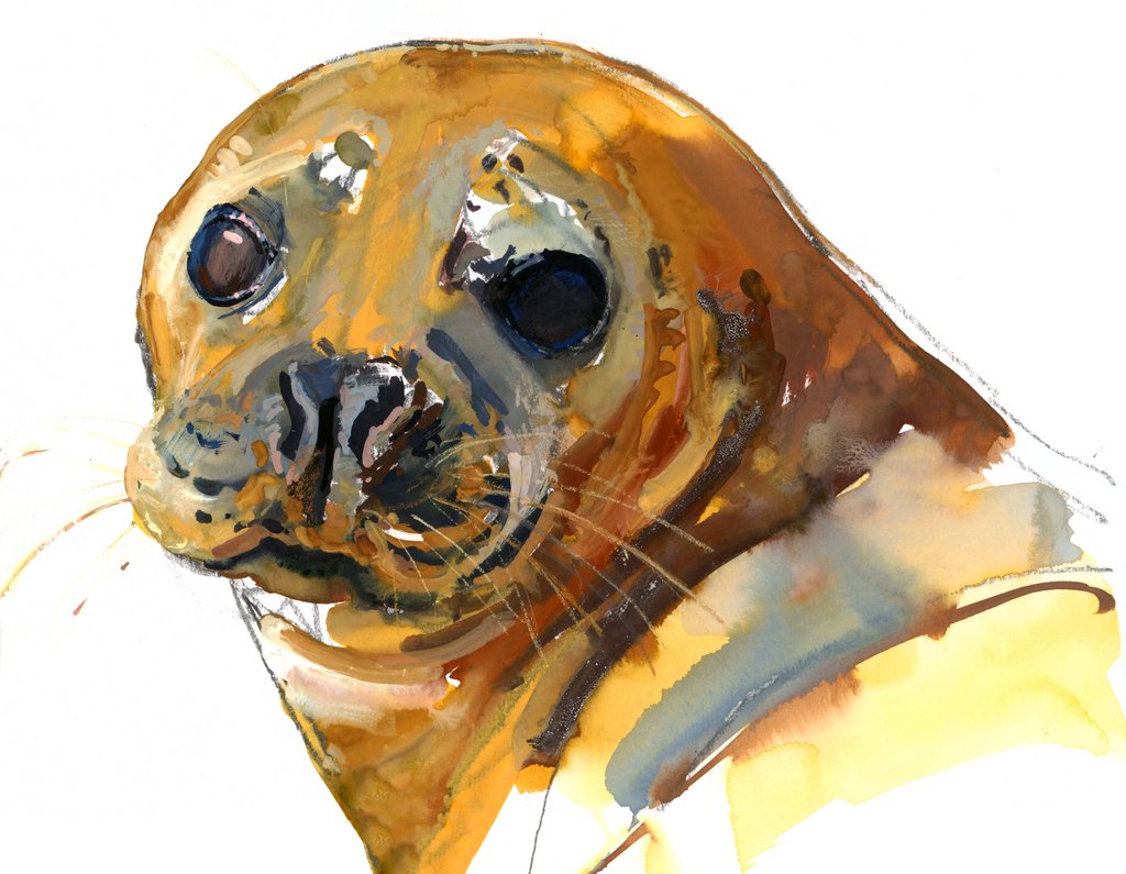 Detail of Ginger Pup, Westcove, 2023 by Mark Adlington