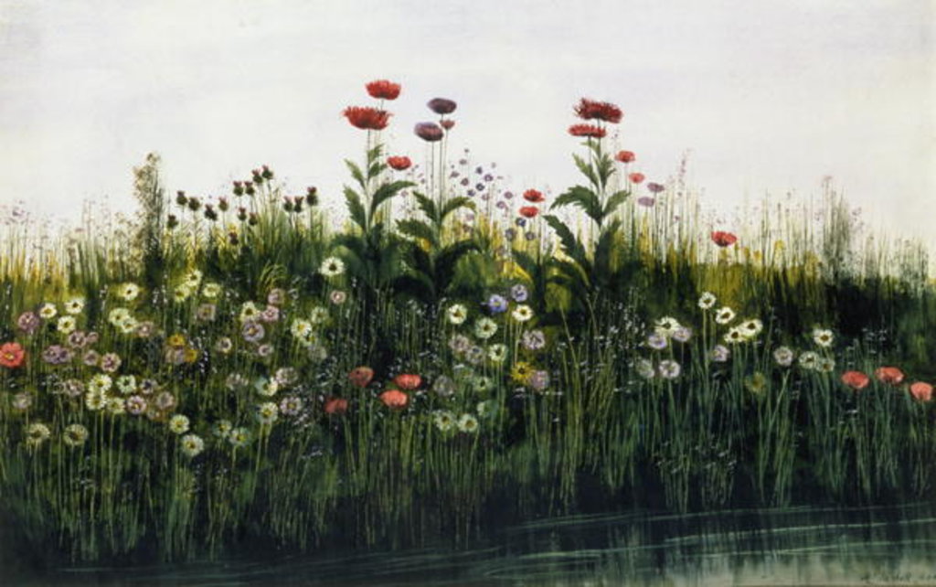 Detail of Poppies, Daisies and Thistles on a River Bank by Andrew Nicholl