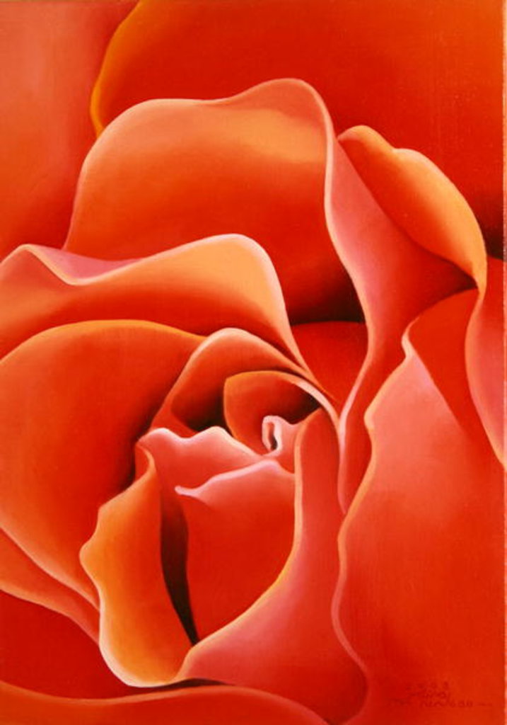 Detail of The Rose, 2003 by Myung-Bo Sim