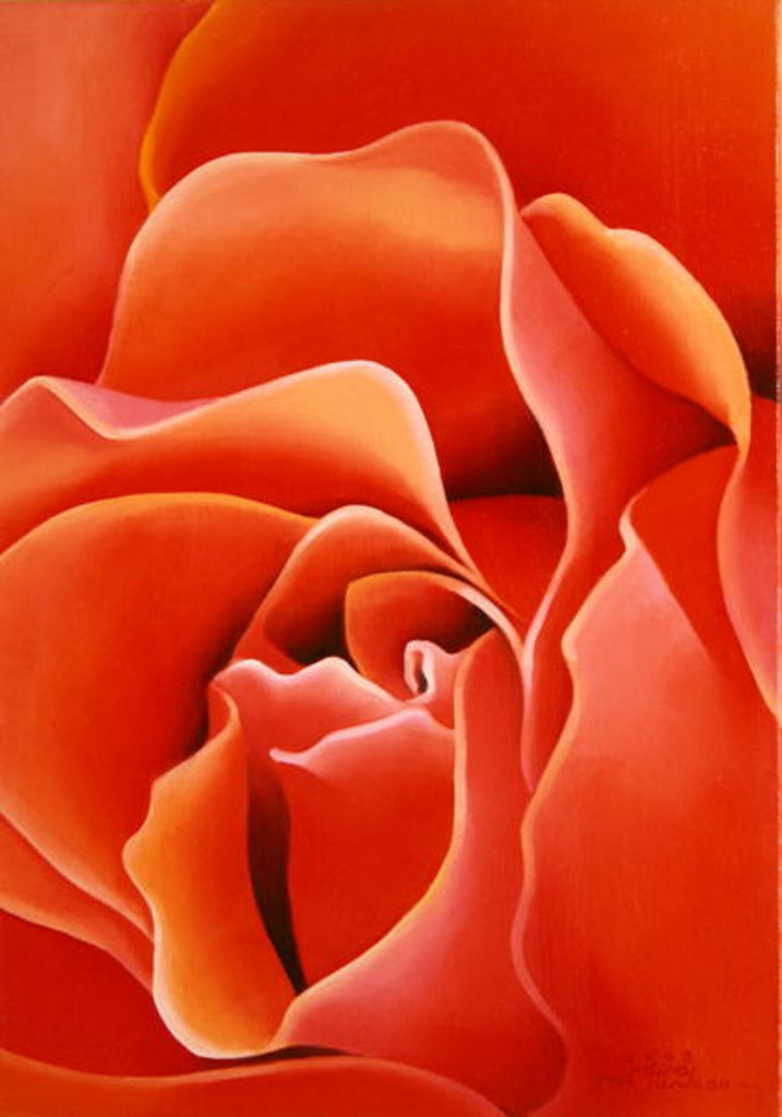 Detail of The Rose, 2003 by Myung-Bo Sim