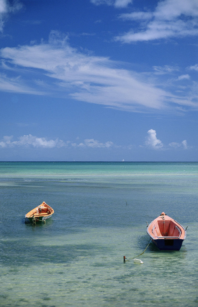 Detail of Rowboats in Shallow Water by Anonymous