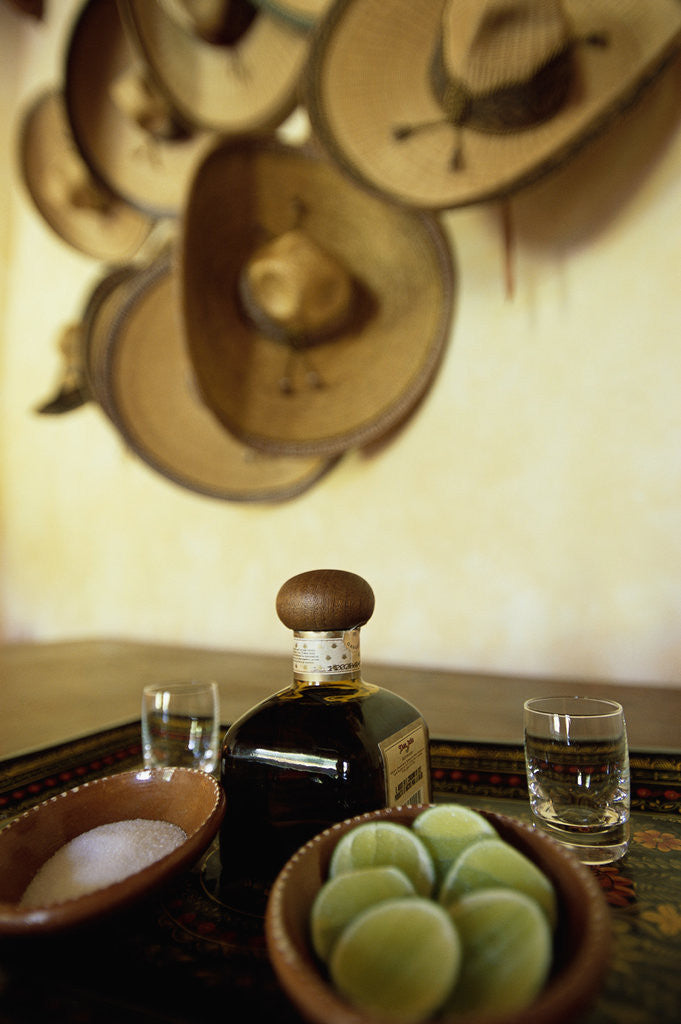 Detail of Bottle of Tequila with Salt and Sliced Limes by Anonymous