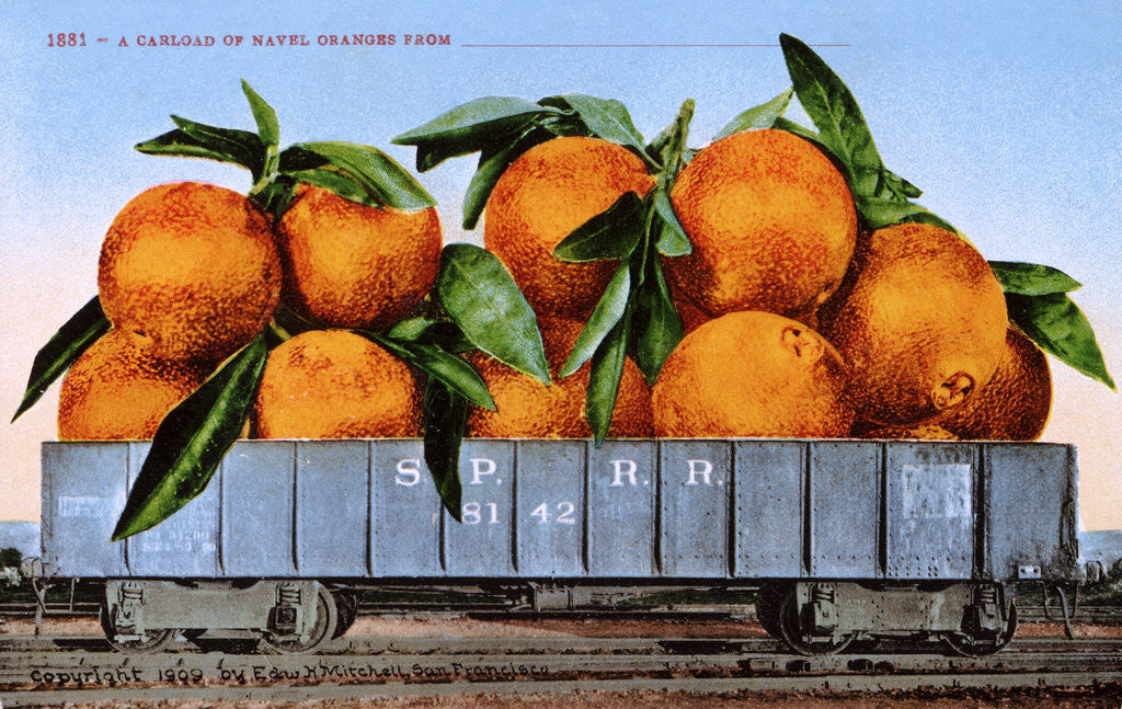 Detail of A Carload of Navel Oranges Postcard by Anonymous