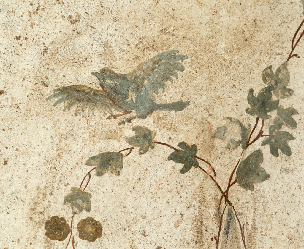 Detail of Detail of Roman Fresco Series at Oplonti Villa by Anonymous