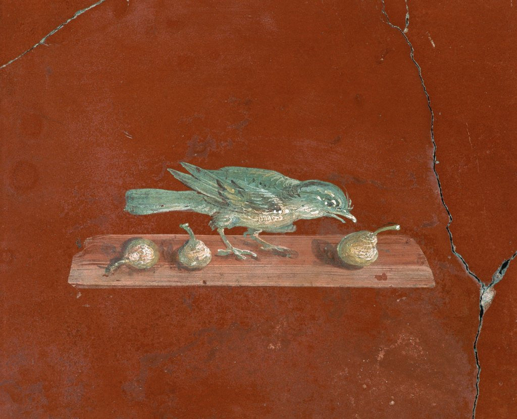 Detail of Detail of Roman Fresco Series at Oplonti Villa by Anonymous