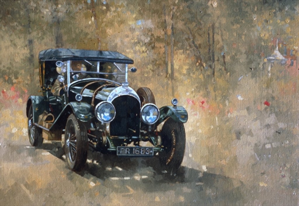 Detail of 3 Litre Bentley at Cottesbrooke by Peter Miller