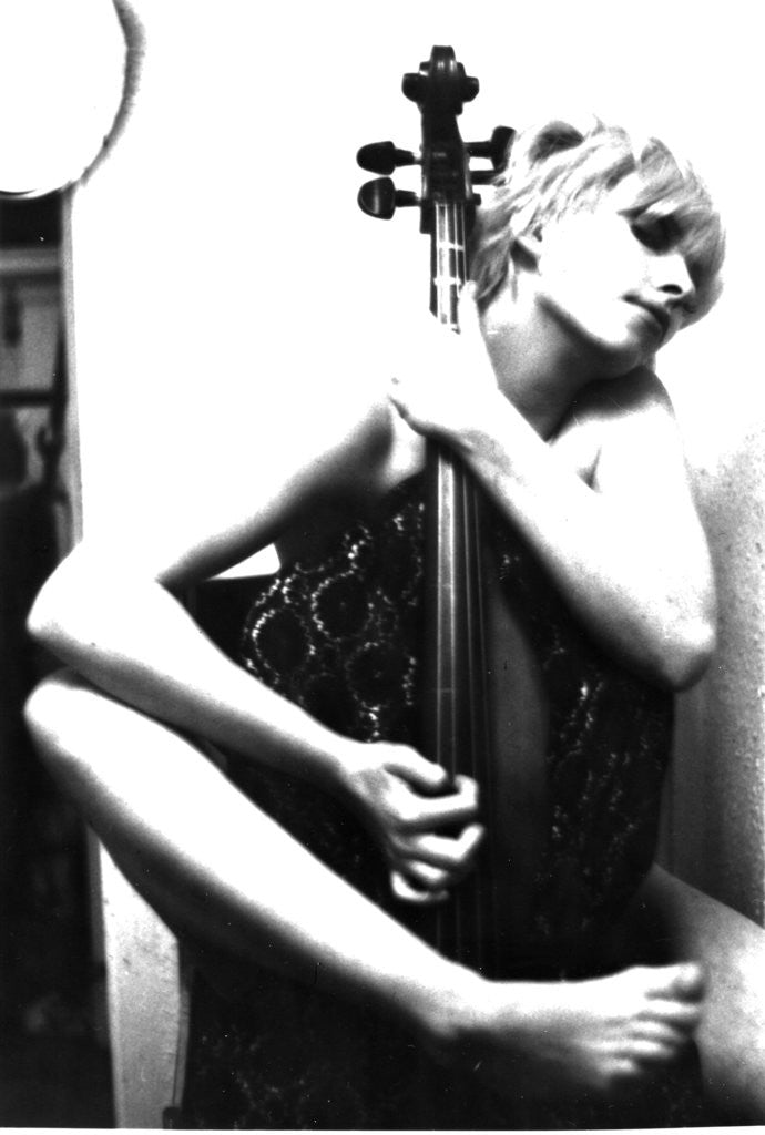 Detail of Misty Cello by Russell C Brennan