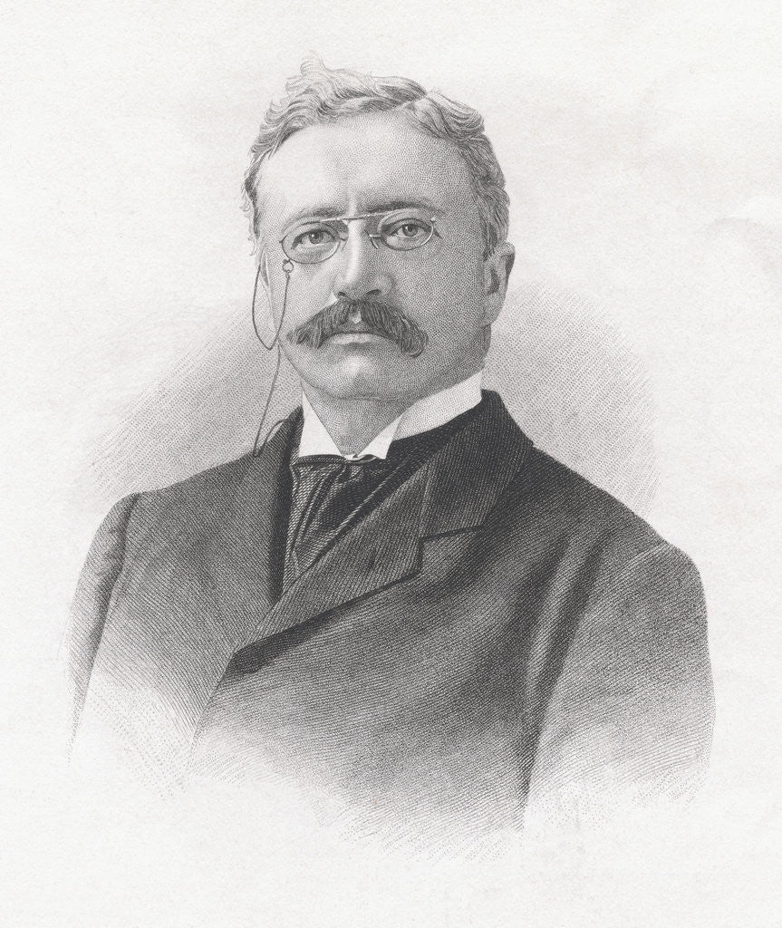 Detail of Bust-Length Portrait of Theodore Roosevelt by Anonymous