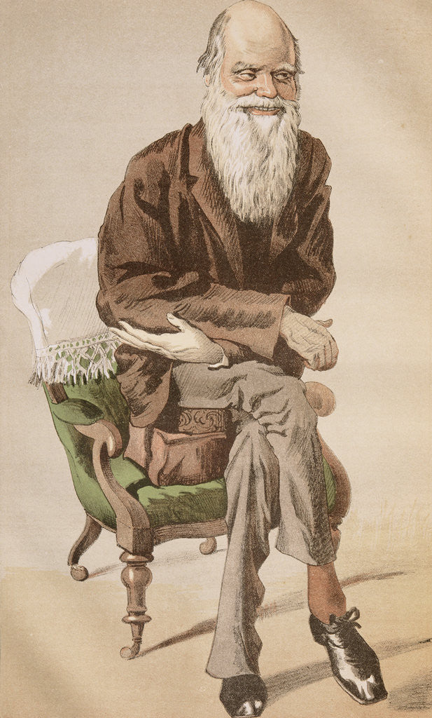 Detail of Natural Selection Caricature by Anonymous