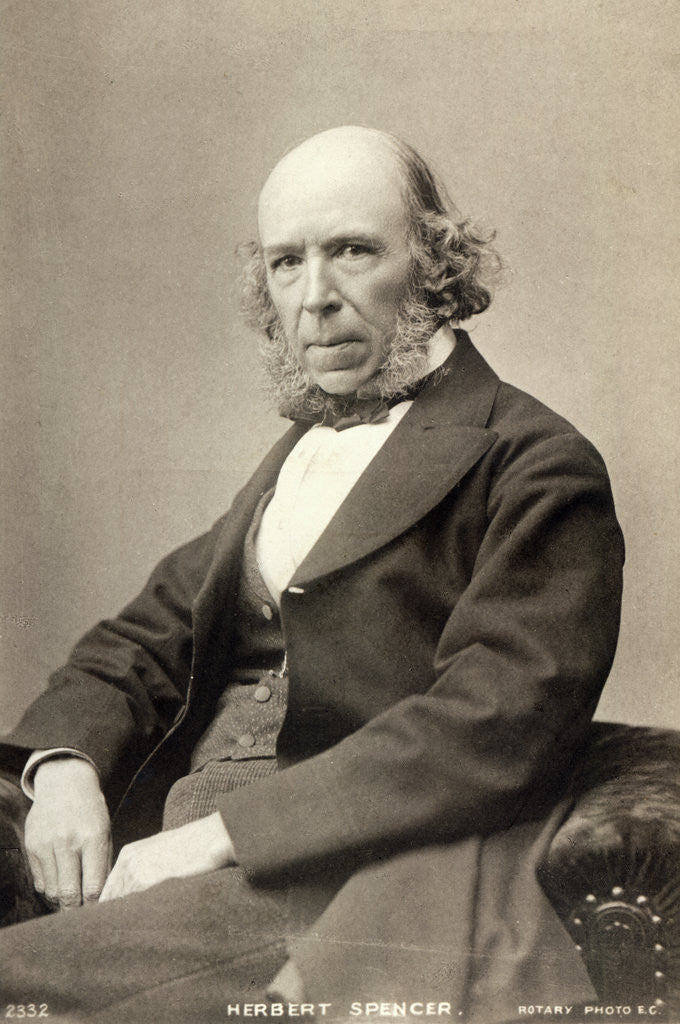 Detail of Philosopher Herbert Spencer by Anonymous