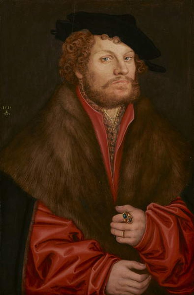 Detail of Portrait of Moritz Buchner, c.1520 by Lucas the Elder Cranach