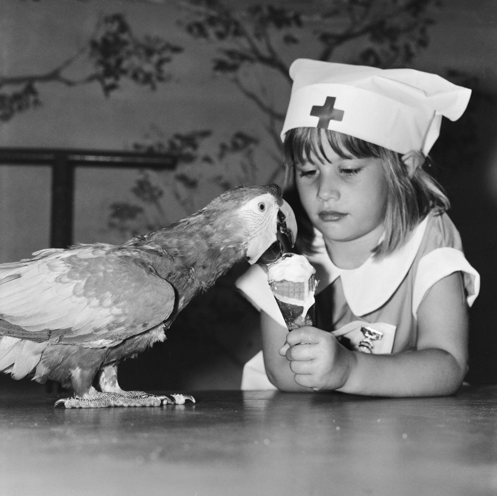 Detail of Windsor Safari Park by Arthur Sidey