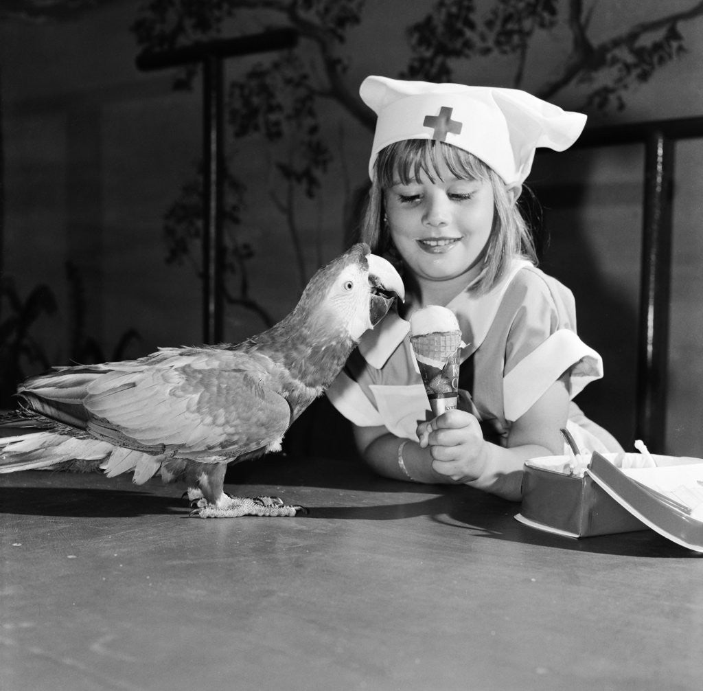 Detail of Windsor Safari Park by Arthur Sidey