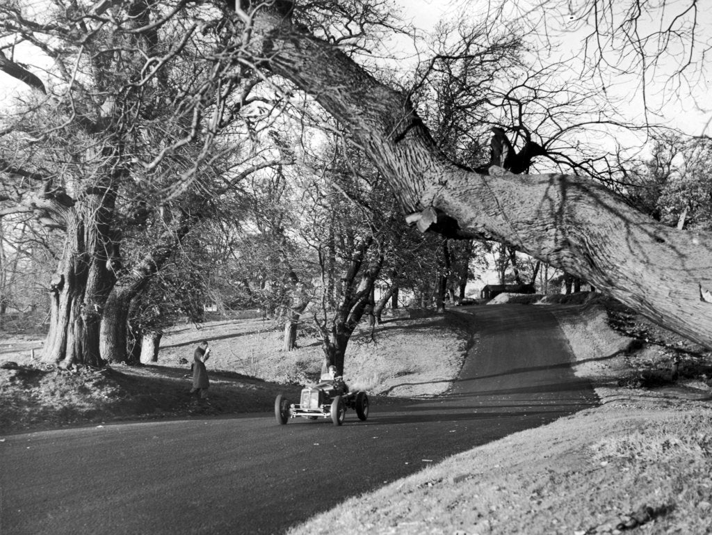 Detail of Motor racing at Oulton Park by Staff