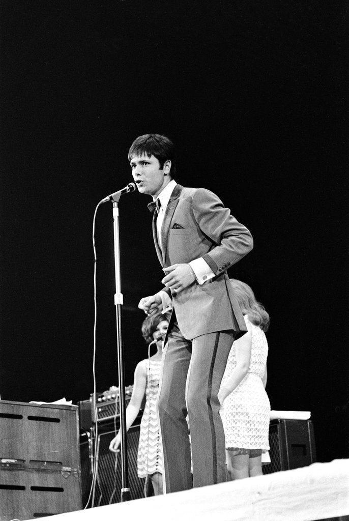 Detail of New Musical Express Poll Winners all star concert by Anonymous