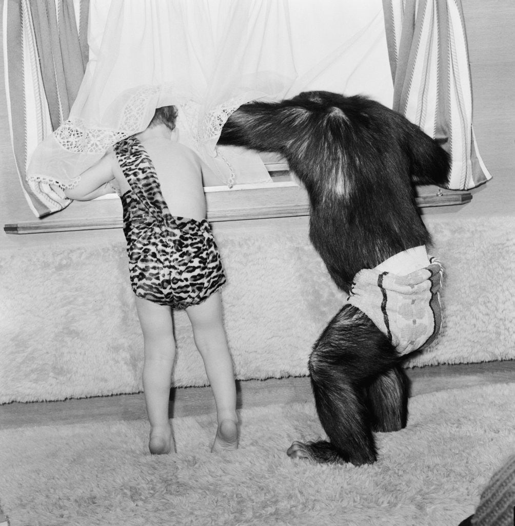 Detail of Two year old Francis Foster, son of Frank Foster the ringmaster of the Bertrum Mills Circus by Arthur Sidey