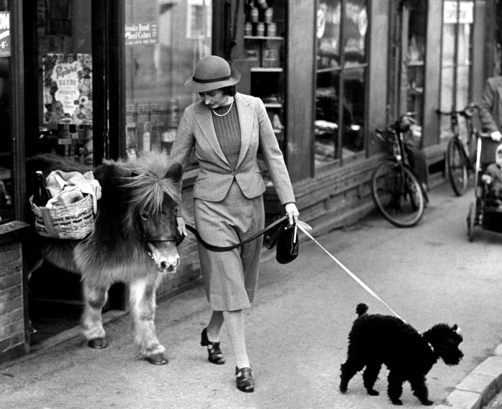 Detail of Twinkle the shetland pony comes out of the shop carrying his owners supplies by Anonymous
