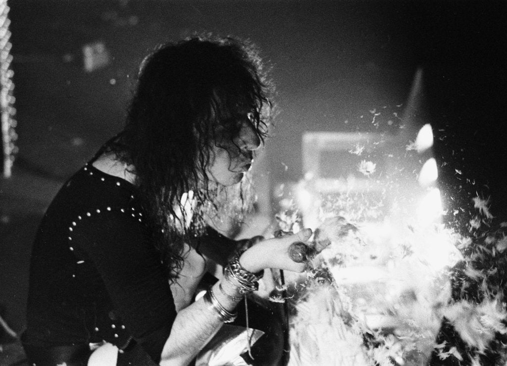 Alice Cooper blows feathers into the crowd by Peter Stone