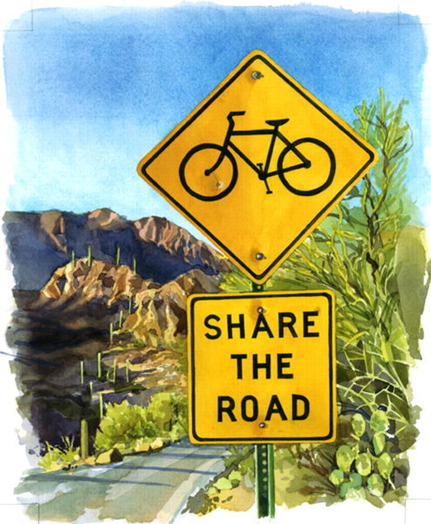 Detail of Share the Road, Gates Pass, 2004 by Lucy Masterman