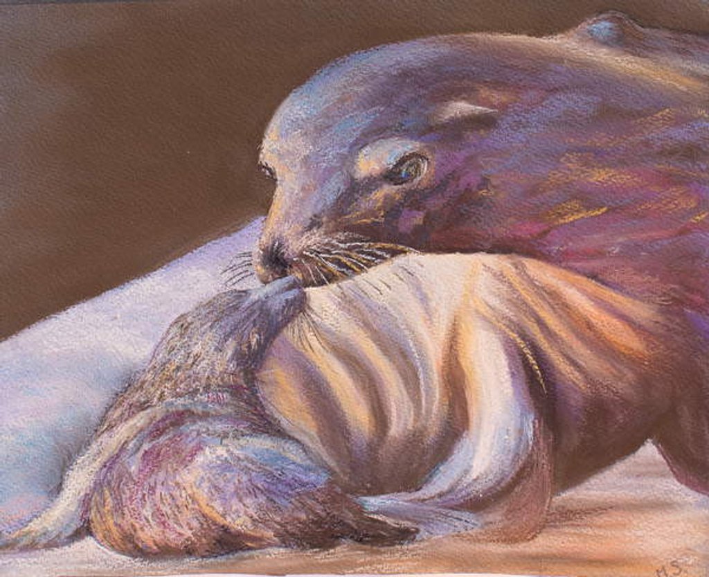Detail of Seal with Her Cub, 2018 by Margo Starkey