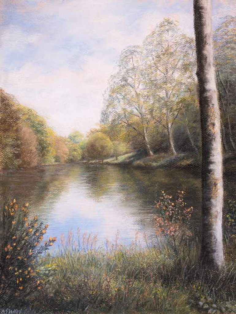 Detail of River Dart Devon by Margo Starkey