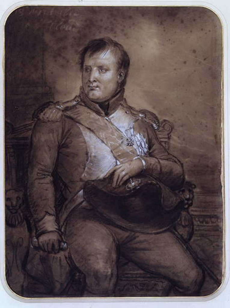 Detail of Napoleon I at Saint-Cloud, 1812 by Anne Louis Girodet de Roucy-Trioson