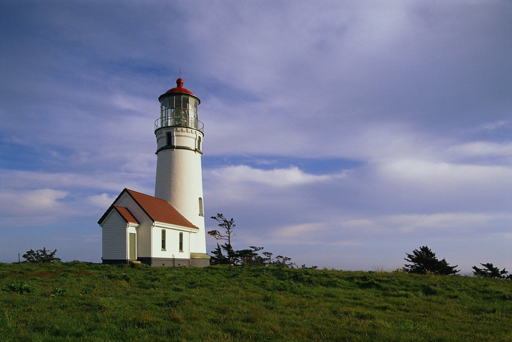 Detail of Cape Blanco Lighthouse by Anonymous