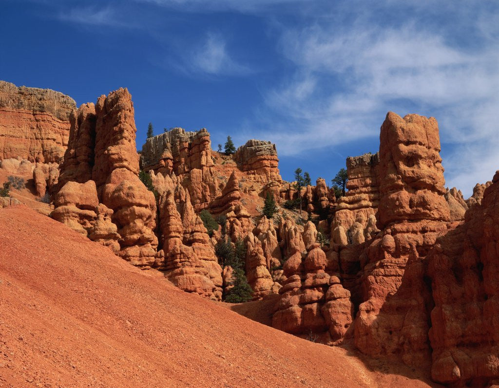 Detail of Red Canyon by Corbis
