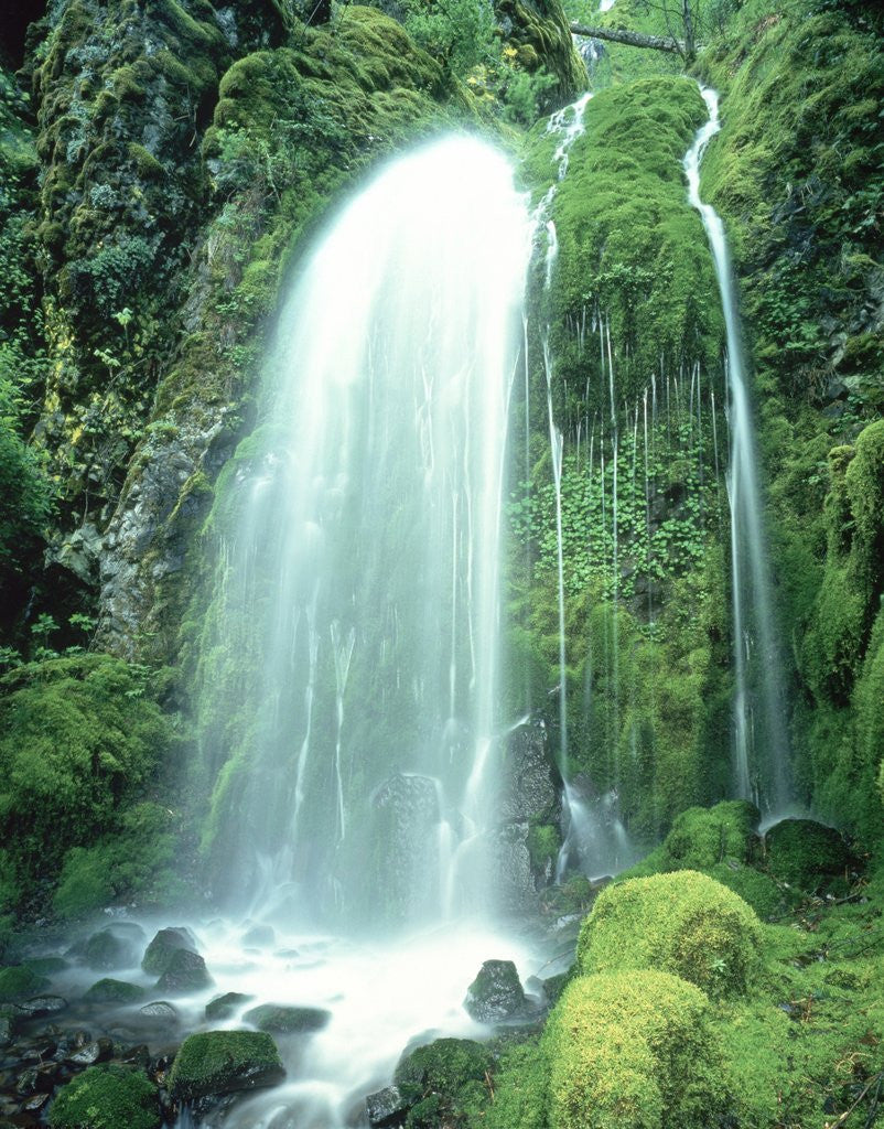 Detail of Columbia River gorge, OR by Anonymous