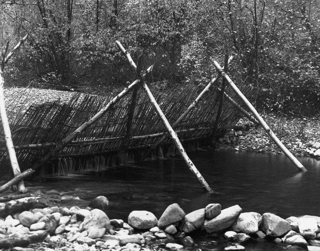 Detail of Native American Fishing Weir by Anonymous