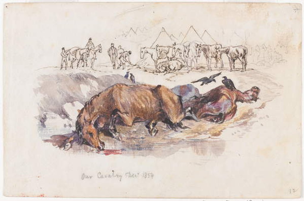 Detail of Our Cavalry, Dead Horses, 1854 by Henry John Wilkinson