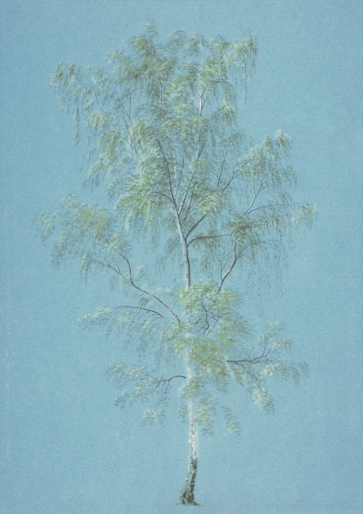 Detail of Birch tree by William Turner