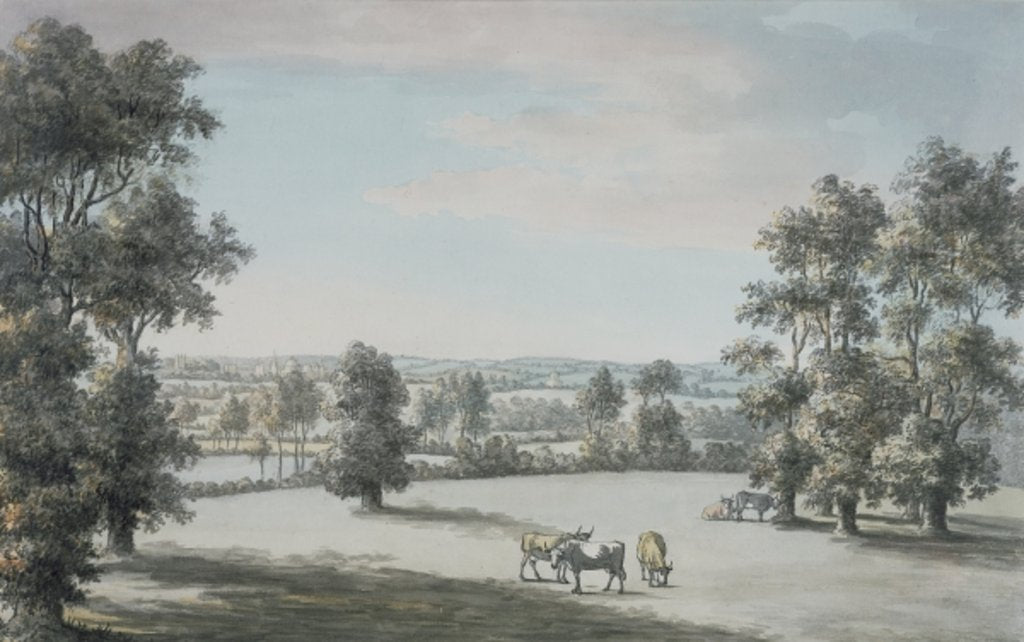 Detail of Oxford from the south, 1786 by Jane Mary Oglander