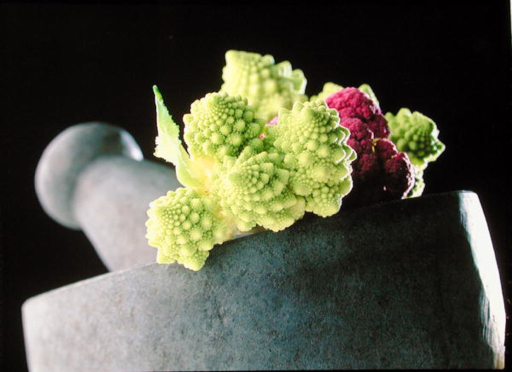 Detail of Romanescu in granite pestle & mortar, 2001 by Anonymous