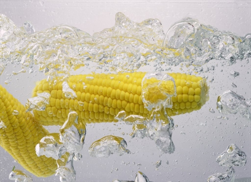 Detail of Boiling sweetcorn, 2003 by Anonymous