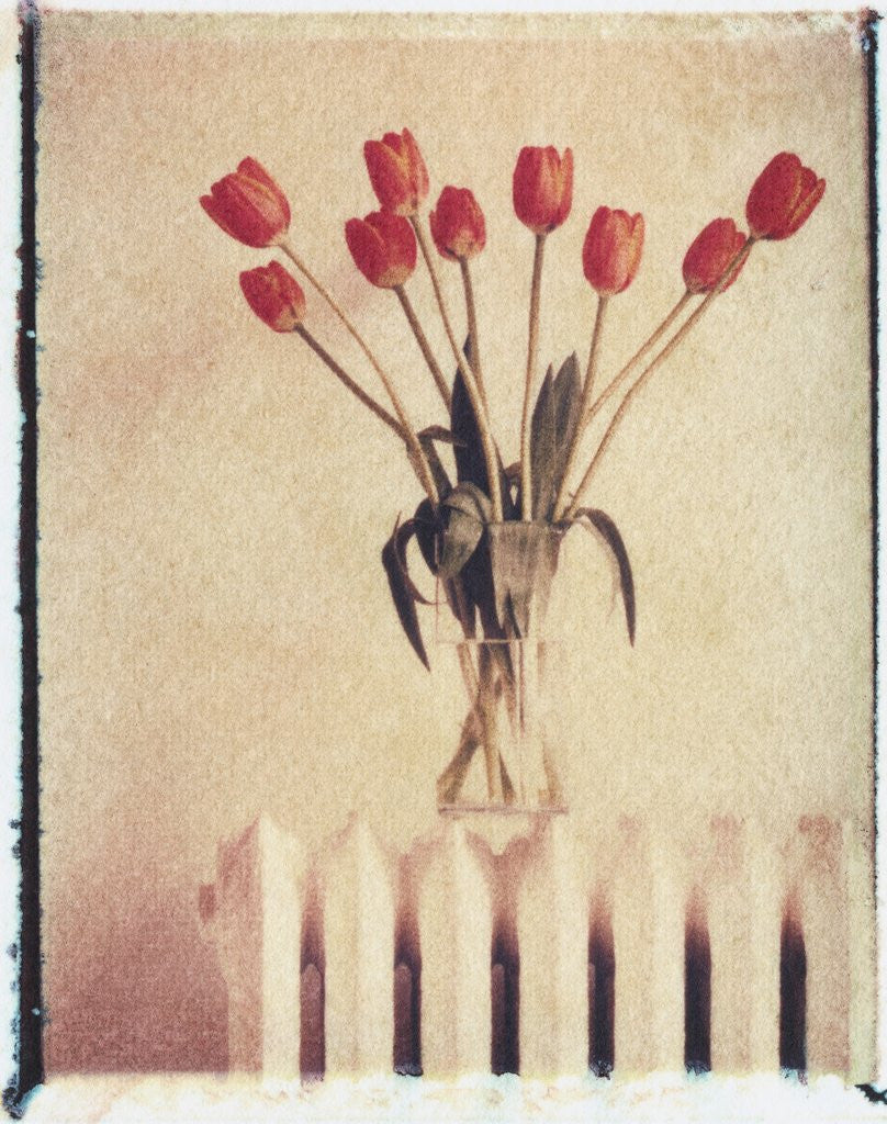 Detail of Vase of Tulips on a Radiator by Anonymous