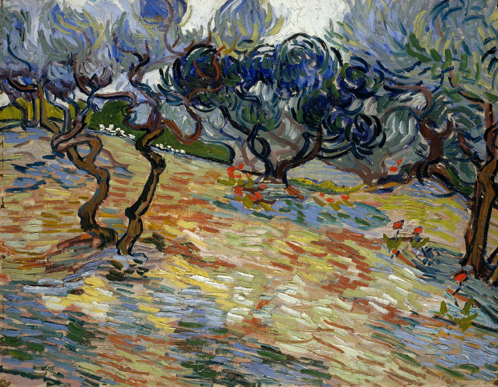 Detail of Olive Trees by Vincent Van Gogh