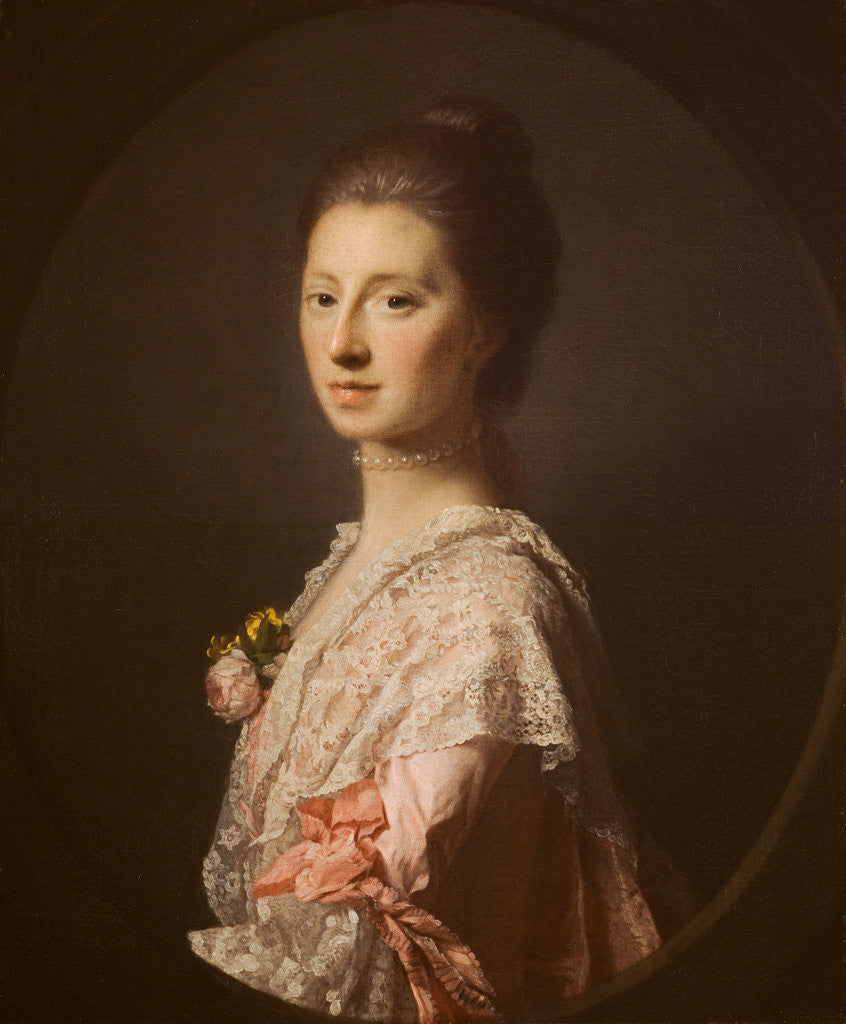 Detail of Mrs Anna Bruce of Arnot (died 1810) by Allan Ramsay