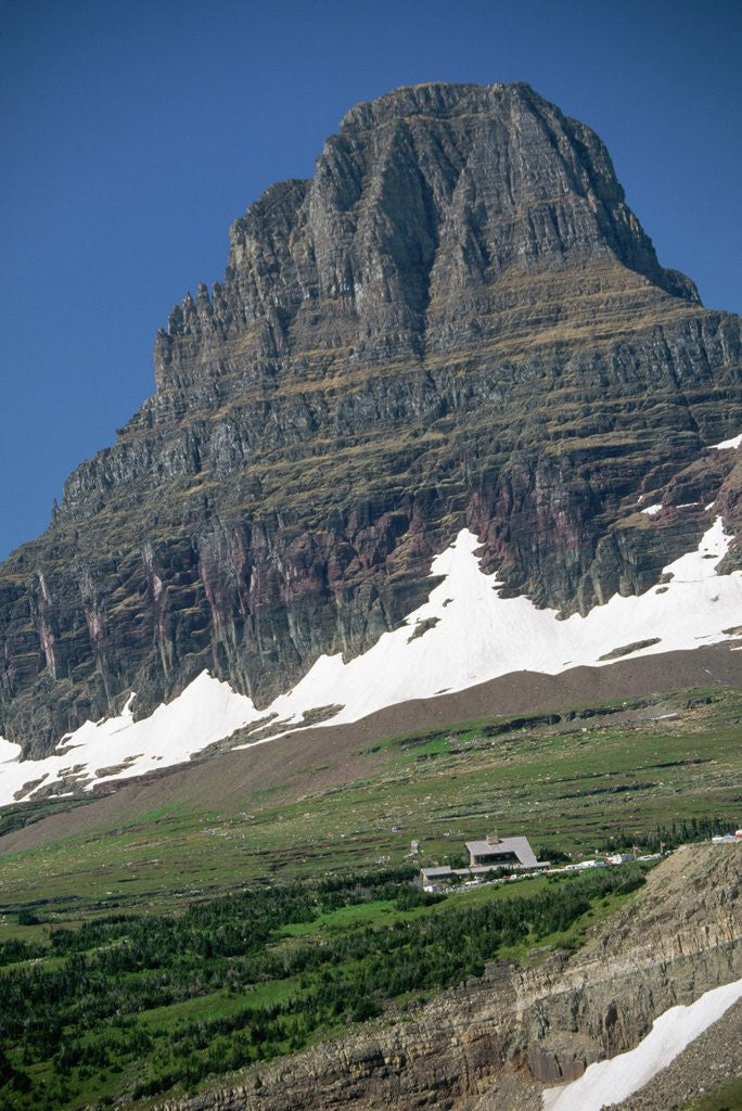 Detail of Reynolds Mountain in Summer by Anonymous