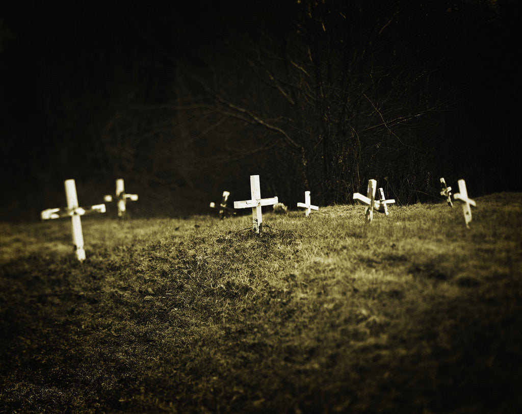 Detail of Crosses in a Cemetery by Anonymous