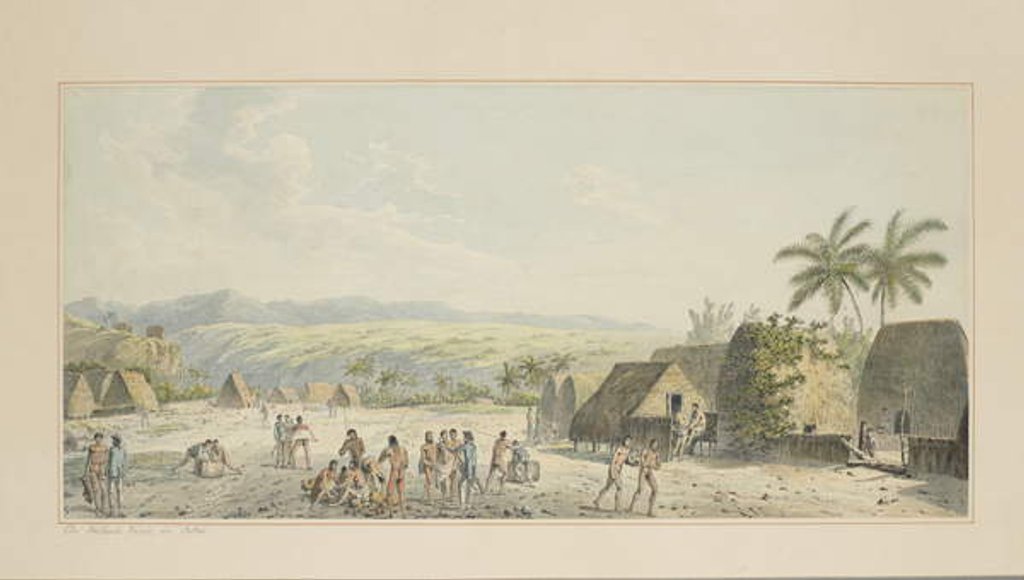 Detail of 19: An Inland View, on Atooi by John Webber