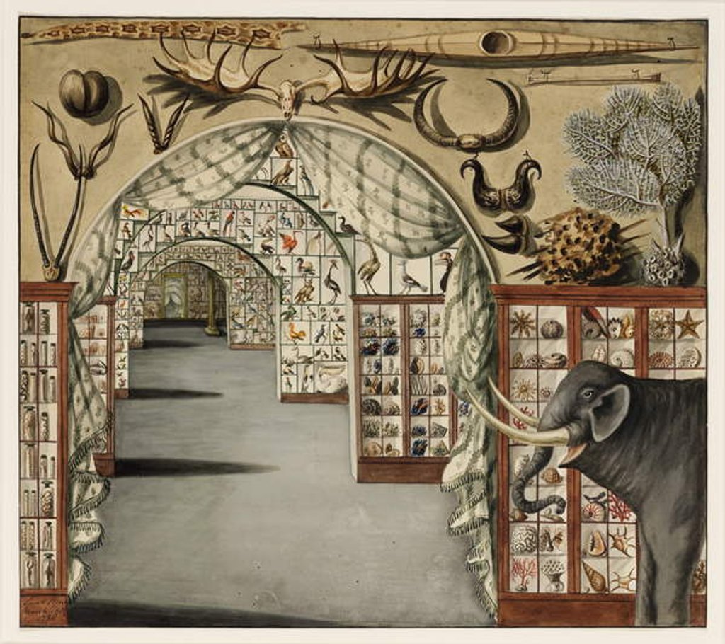 Detail of Perspective view of Sir Ashton Lever's Museum March 30, 1785 by Sarah Stone