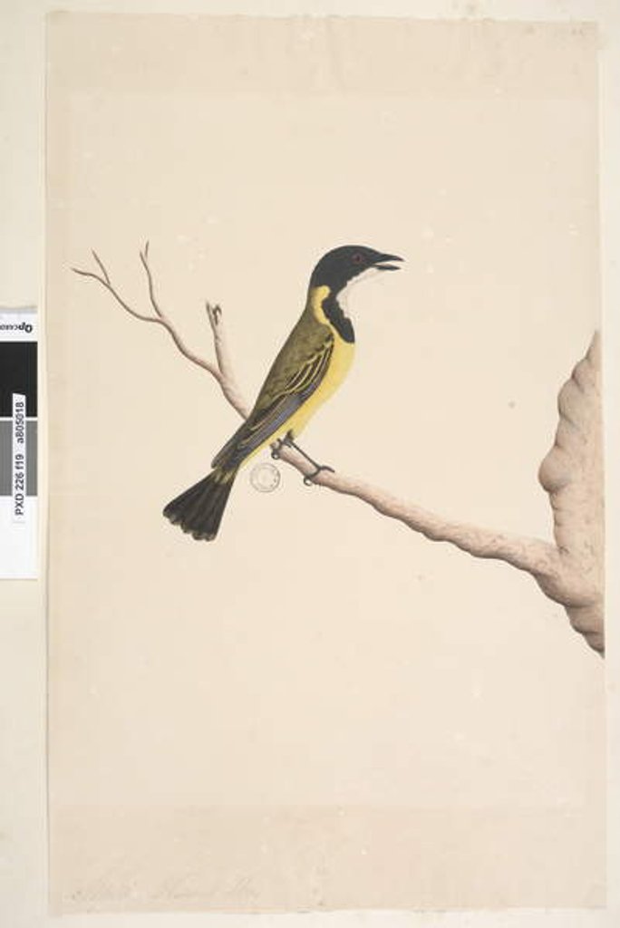 Detail of Page 19. April by Unknown artist