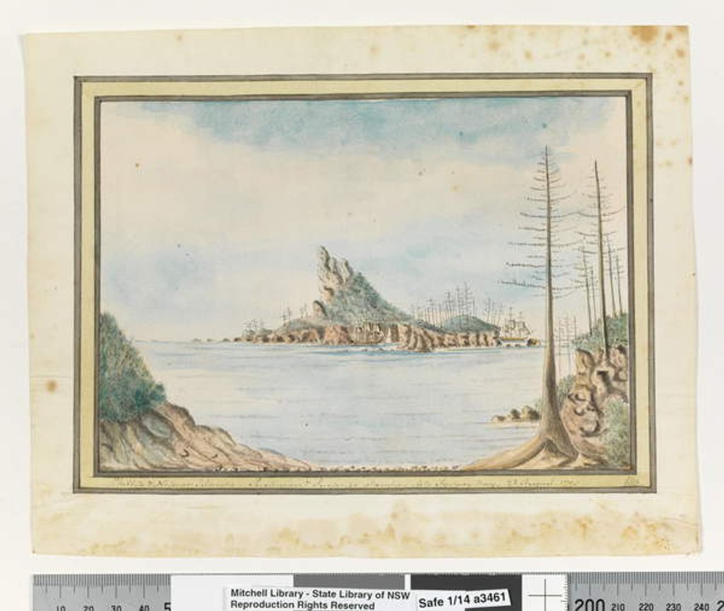 Detail of Opp. p. 211. `Phillip & Nepean Islands. Justinian & Surprise standing into Sydney Bay. 23 August 1790', c.1802 by William Bradley