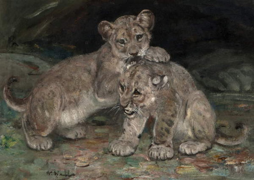 Detail of Lion Cubs, c.1906 by William Walls