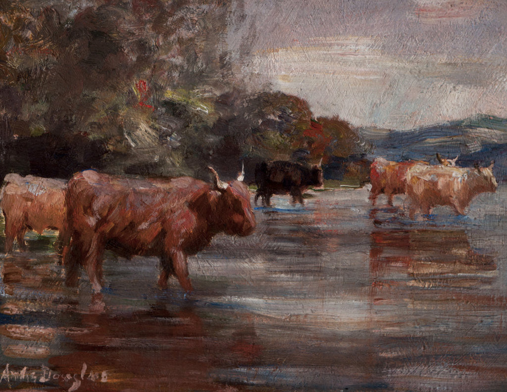 Detail of Highland Cattle in a landscape by Andrew Douglas